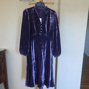 NWT Talbots Velour, Long-Sleeve Midi Dress in Purple, 6P